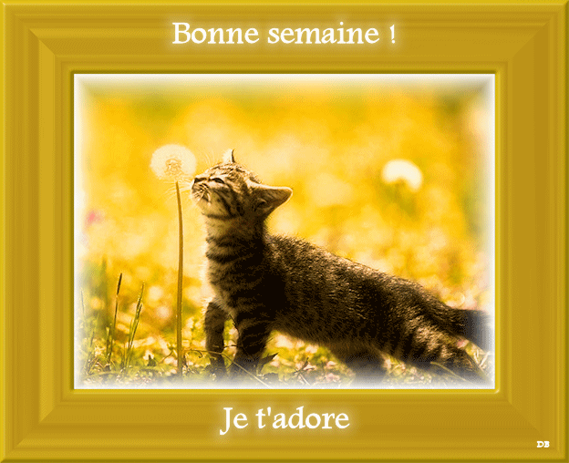 Cadeau de mon amie Dominique (jardinsduciel)