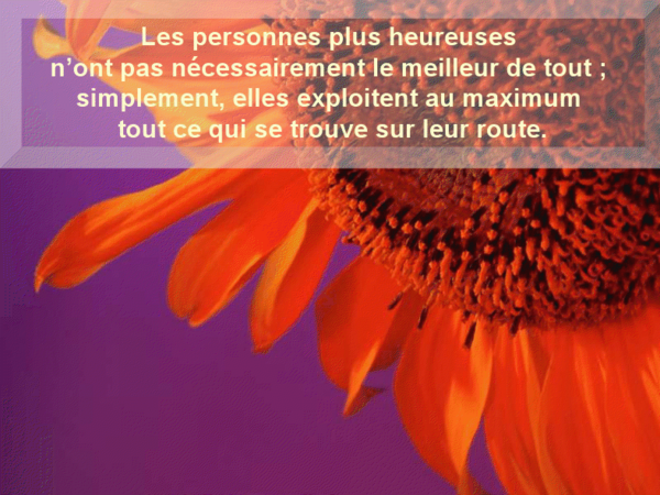 Citation et fleur cadeau de mon amie Josie