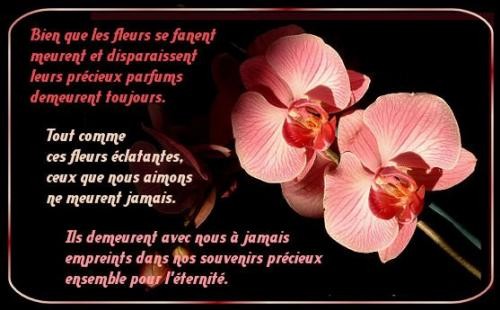 Fleur Page 6